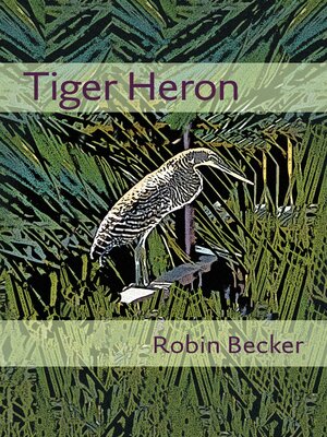 cover image of Tiger Heron